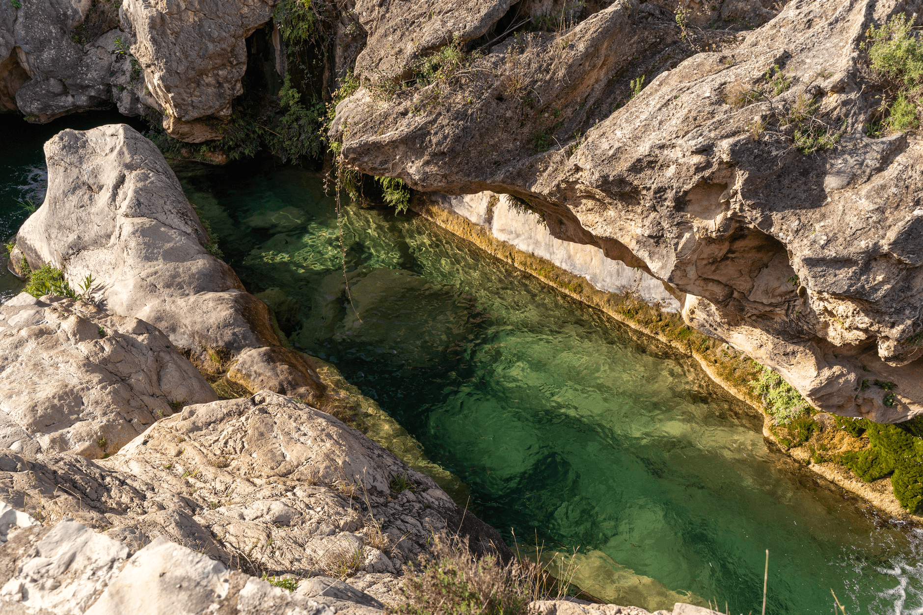 charco