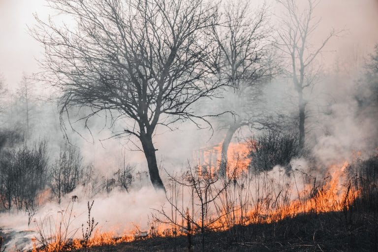 incendios