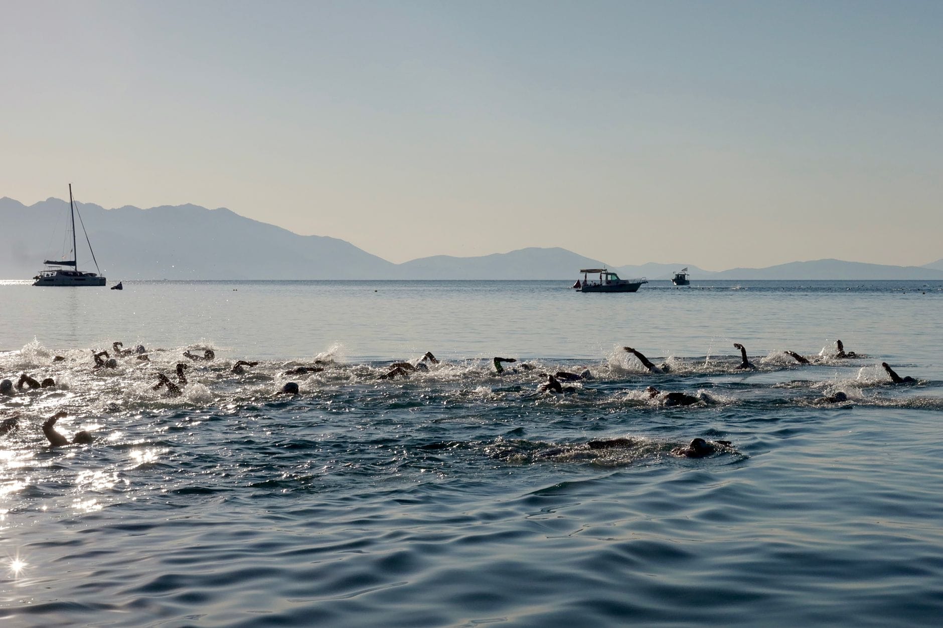 medusas-tavernes-triatlon-valldigna medusas