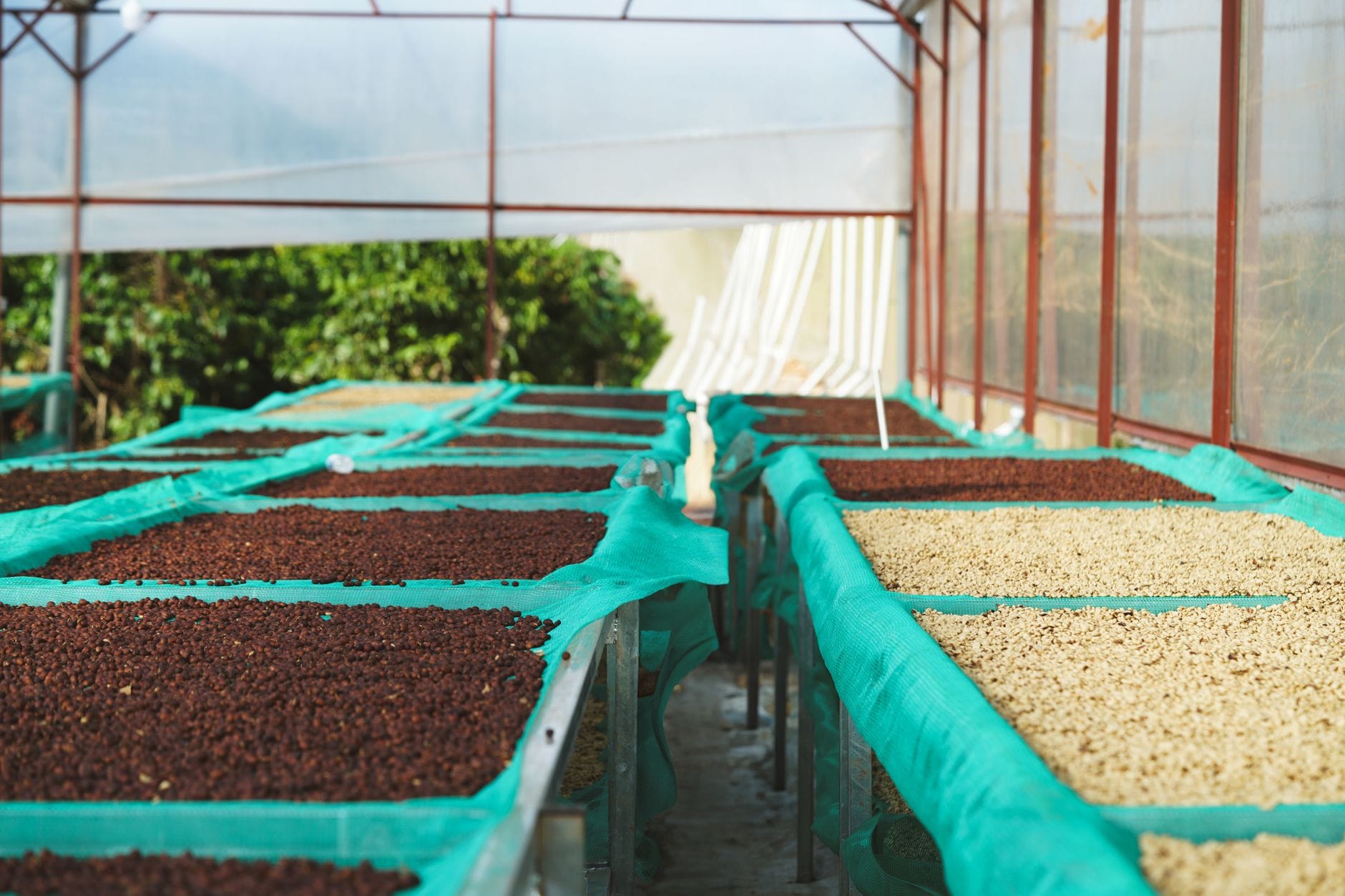 ayudas agroalimentarias Valencia