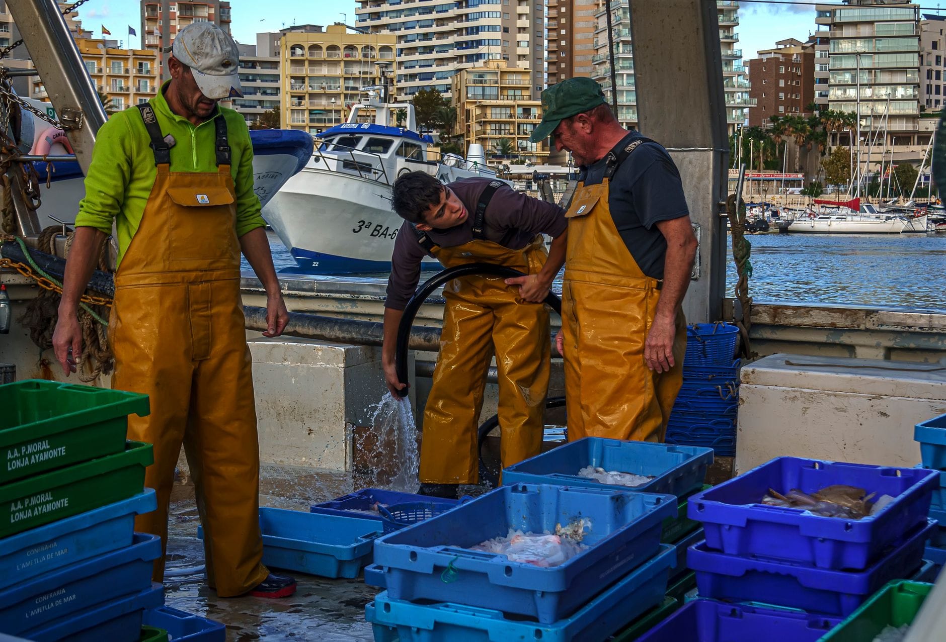 ayudas-pesca-valencia-proyectos ayudas pesca Valencia