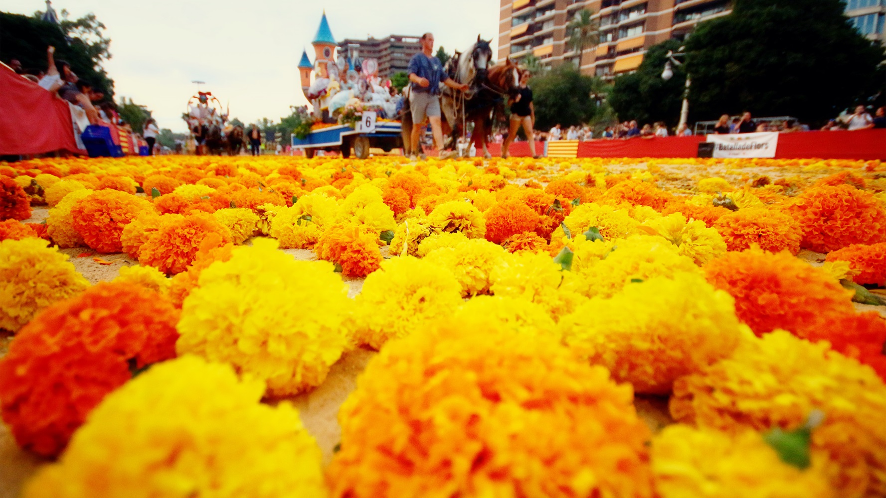batalla-flores-valencia-clavellons