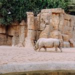 bioparc