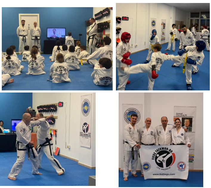 fiege-taekwondo-valencia-balance