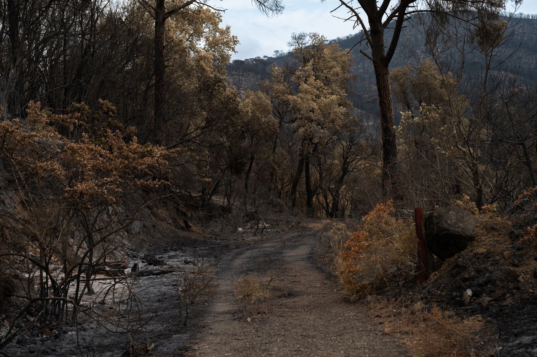 incendio
