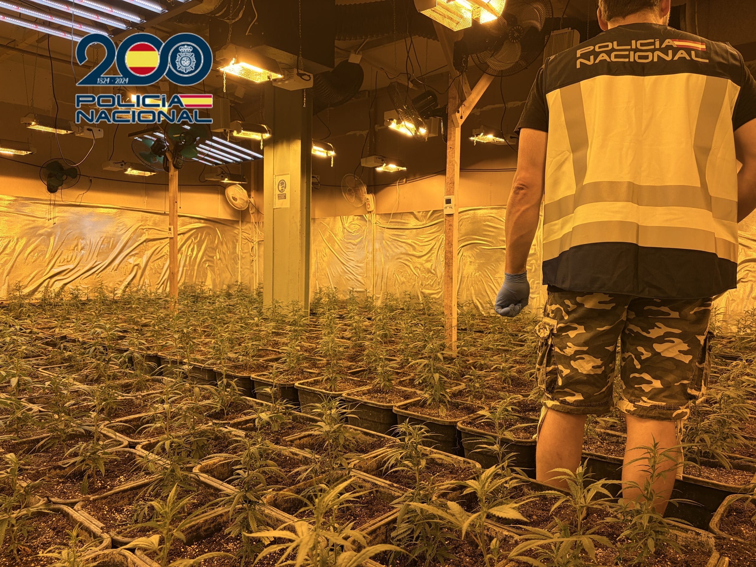 marihuana-indoor-valencia-detenidos