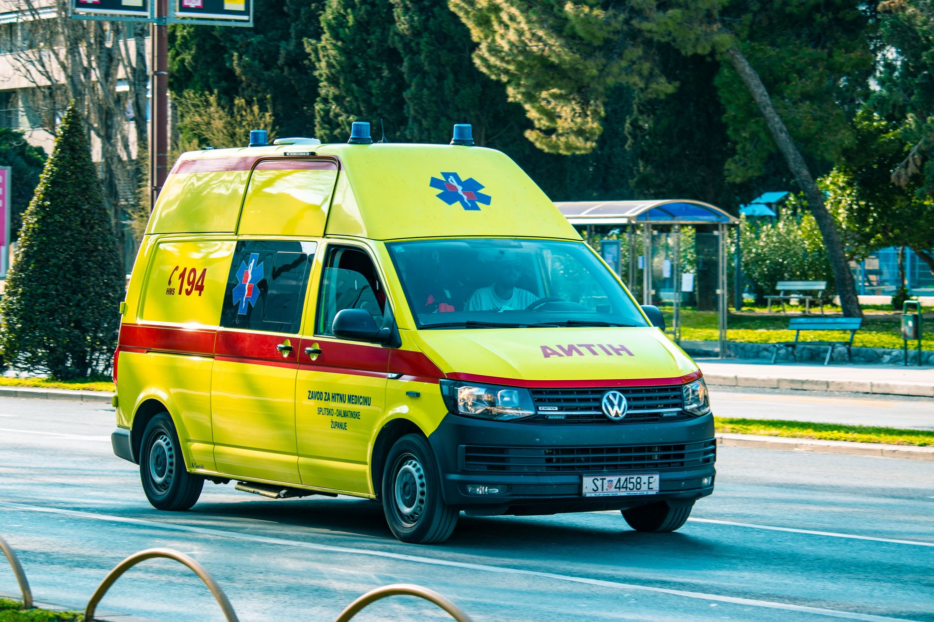 servicios