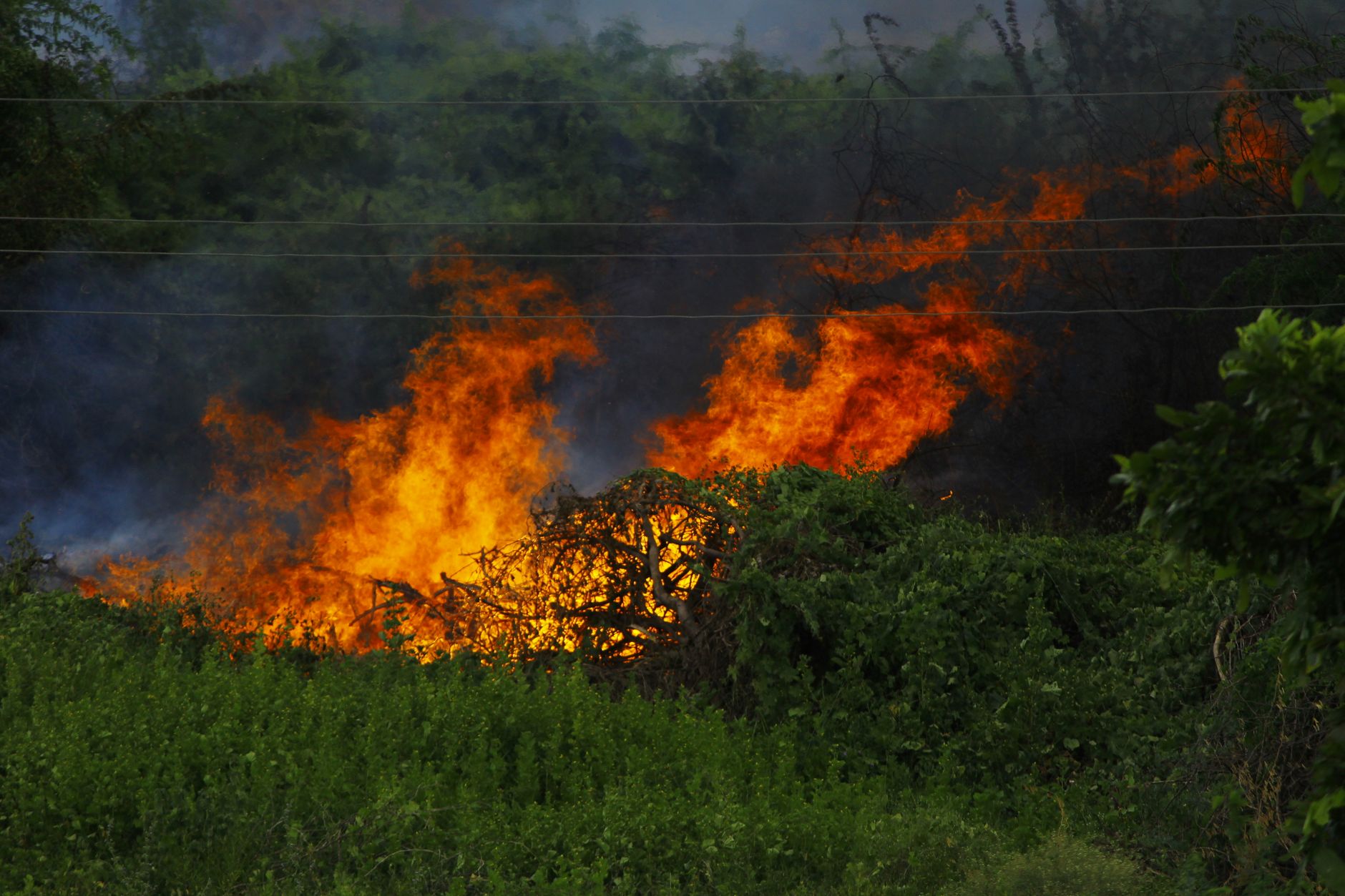 incendio