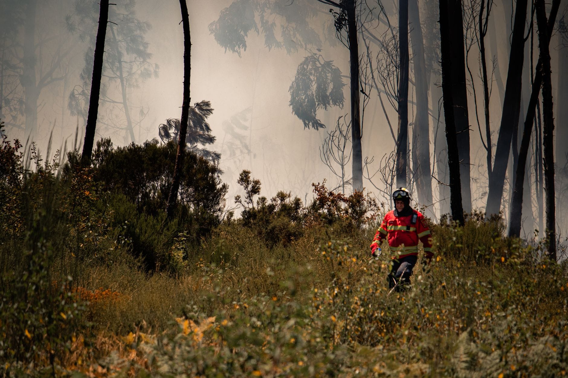 incendio