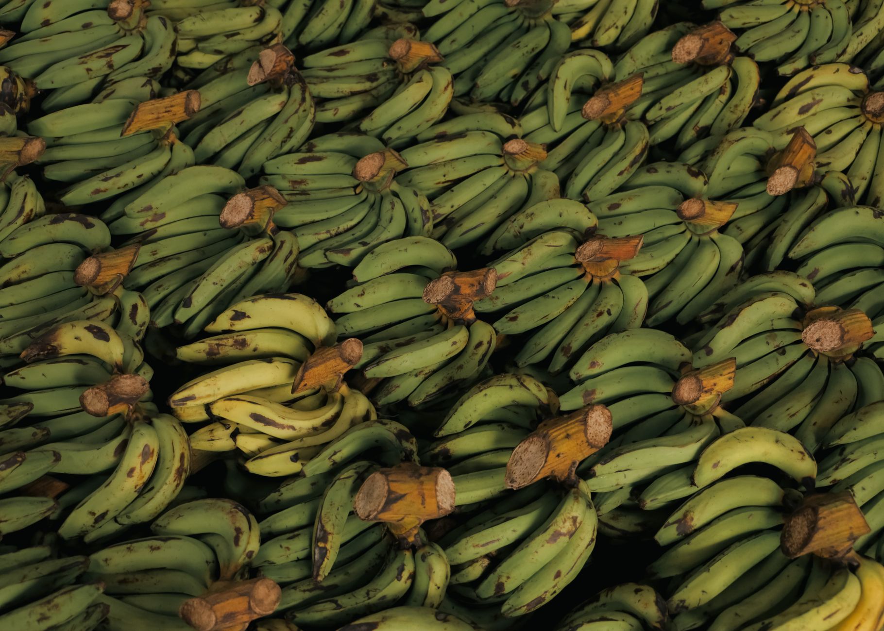 exportaciones-agroalimentarias-valencianas-record exportaciones