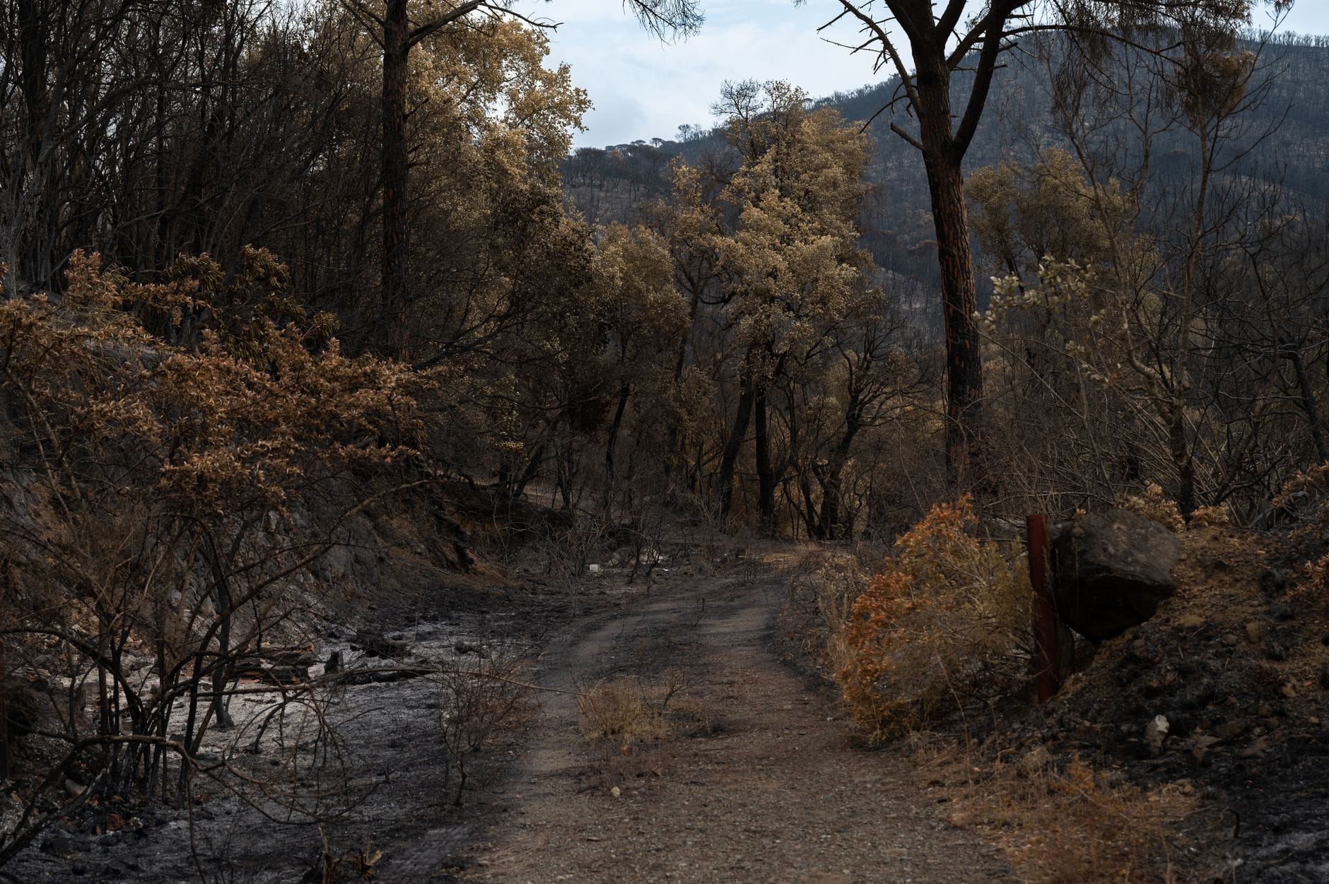 incendio