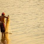 pesca