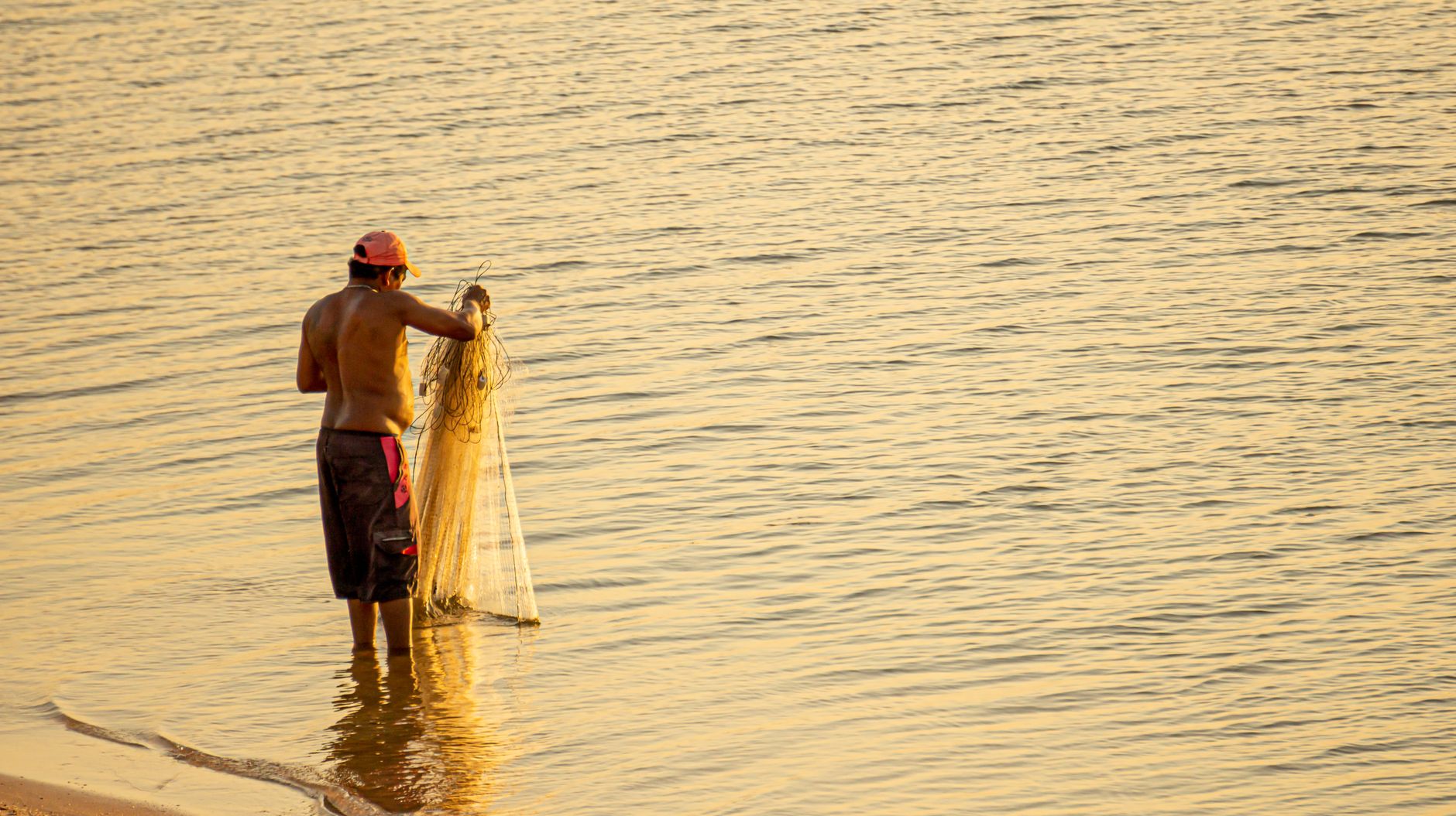pesca