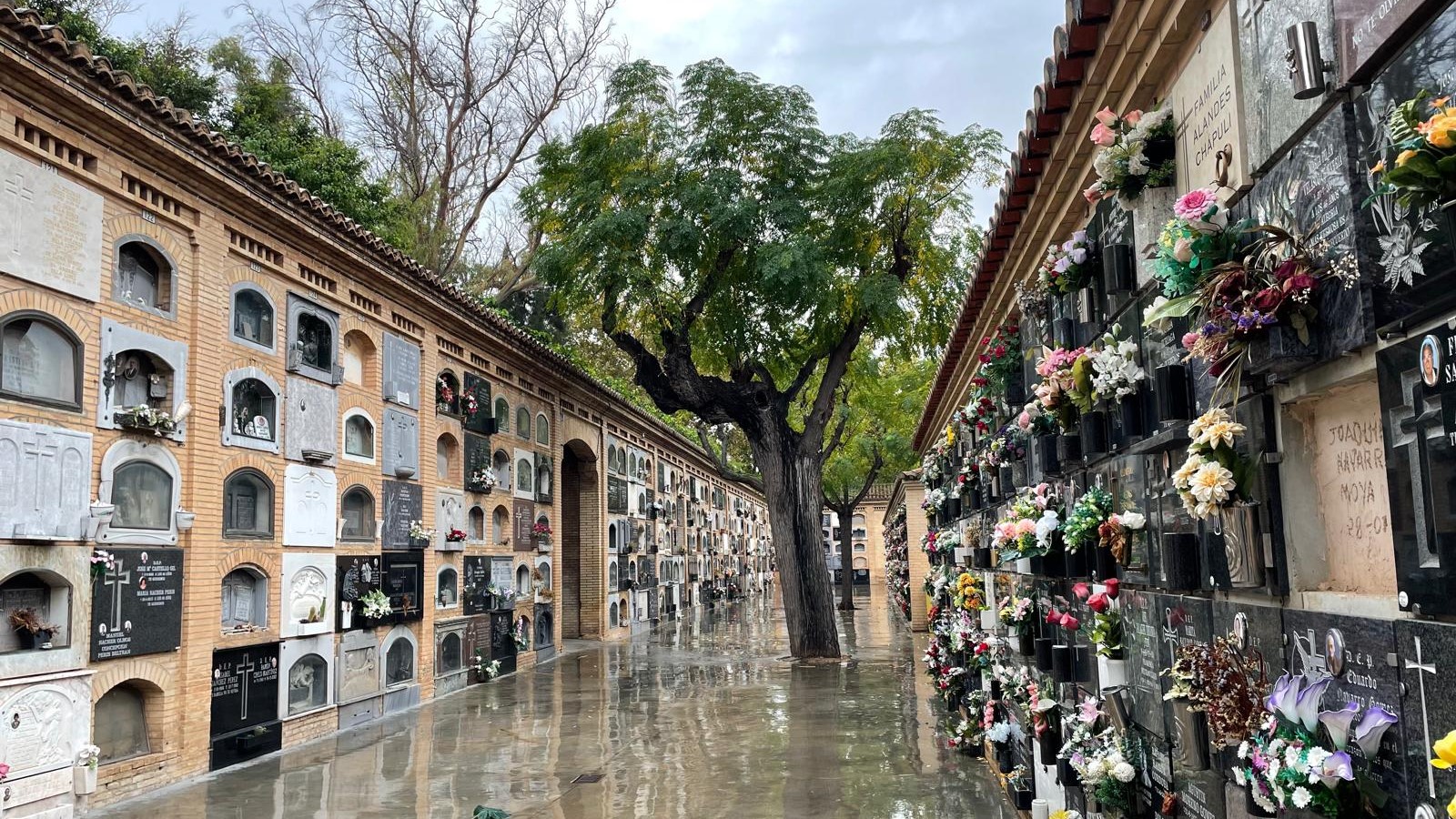 ampliacion-cementerio-general-valencia-pgou