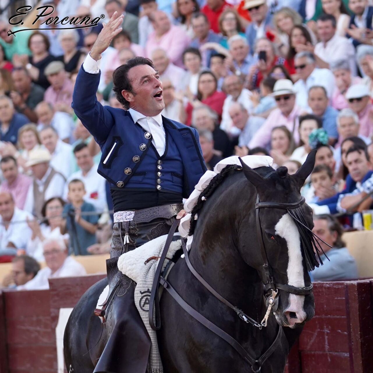 andy-cartagena-vida-caballos