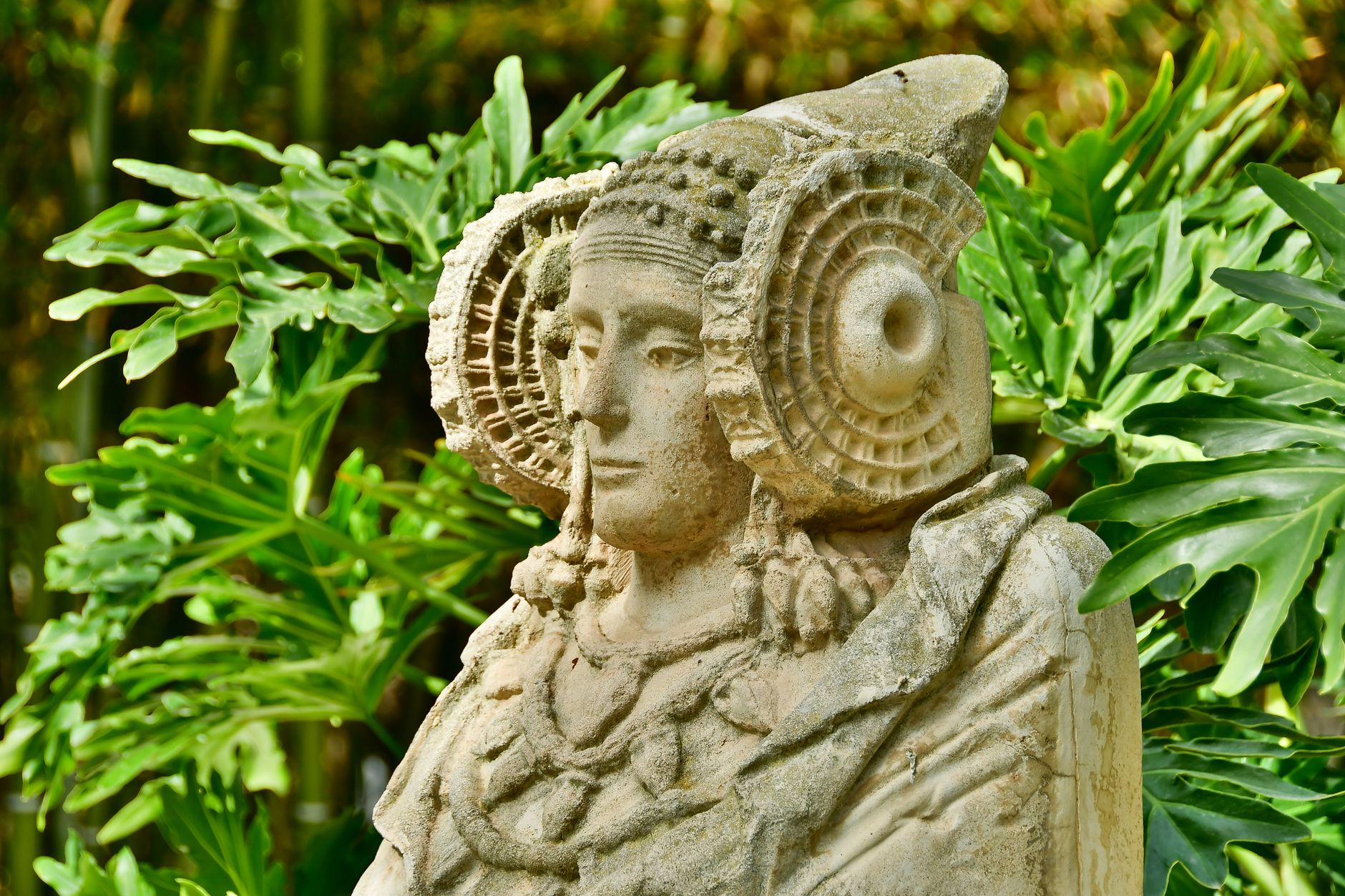 dama