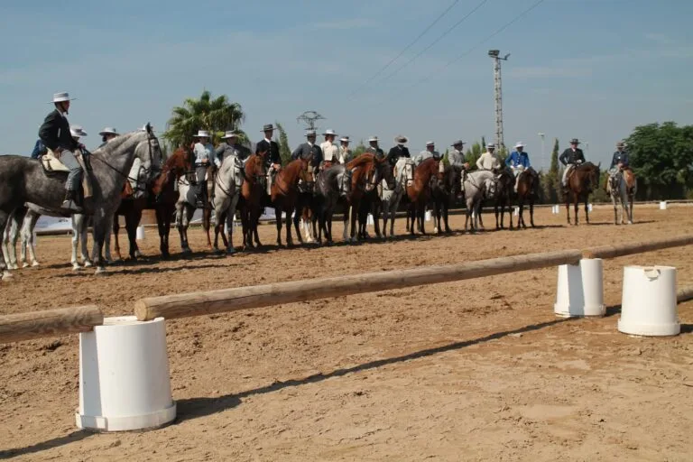 doma-vaquera-valenciana-campeonato-2026.jpg